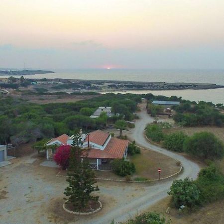 Balci Plaza Hotel And Balci Plaza Guest Bungalows Karpaz Peninsula Selenias Eksteriør billede