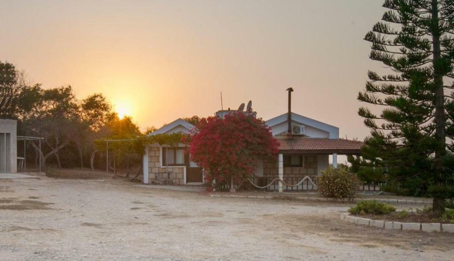 Balci Plaza Hotel And Balci Plaza Guest Bungalows Karpaz Peninsula Selenias Eksteriør billede