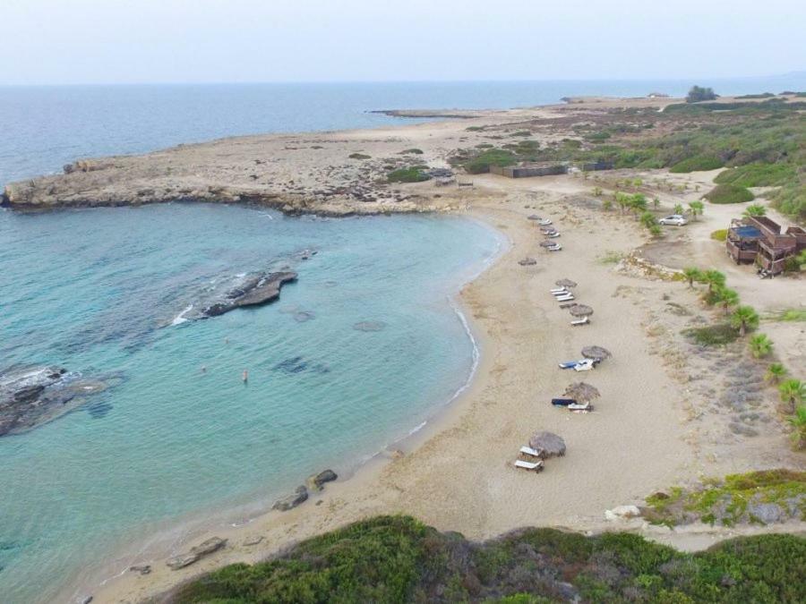 Balci Plaza Hotel And Balci Plaza Guest Bungalows Karpaz Peninsula Selenias Eksteriør billede