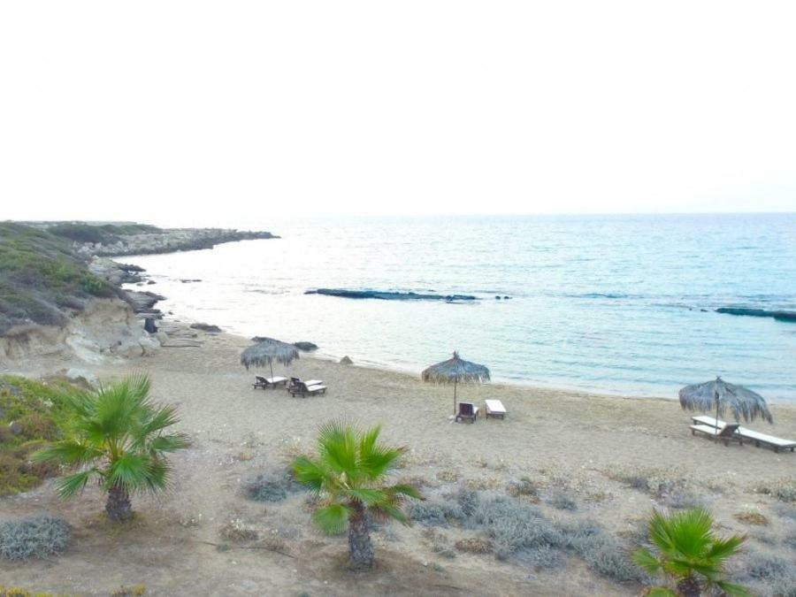 Balci Plaza Hotel And Balci Plaza Guest Bungalows Karpaz Peninsula Selenias Eksteriør billede